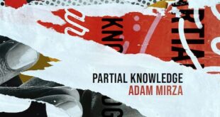 Adam Mirza – Partial Knowledge album cover detail