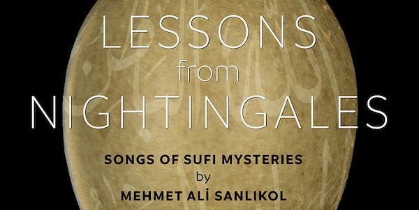 Lessons from Nightingales cover detail