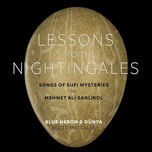 Lessons from Nightingales album cover