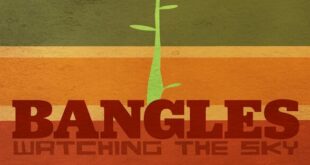 bangles watching the sky album cover detail