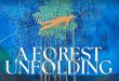 A Forest Unfolding album cover detail