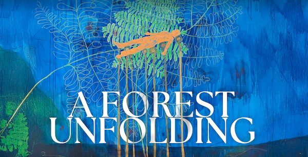 A Forest Unfolding album cover detail